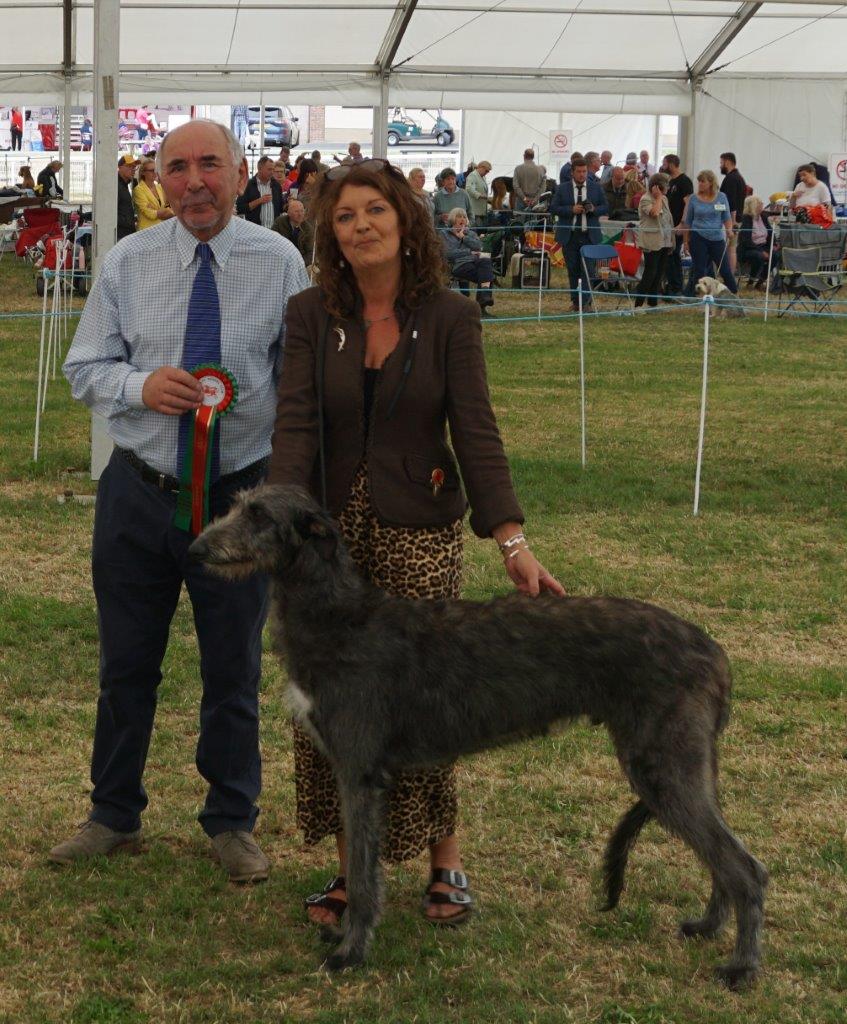 Best Puppies Welsh Kennel Club 2015